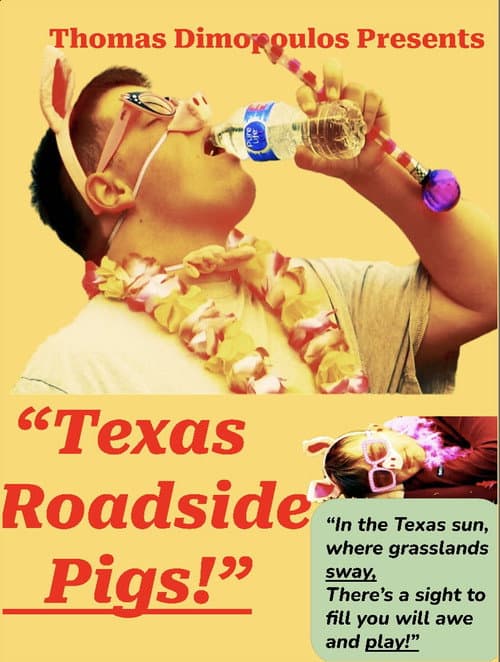 Texas Roadside Pigs!